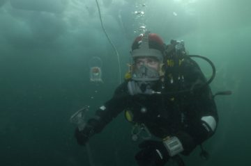 A diver under the sea