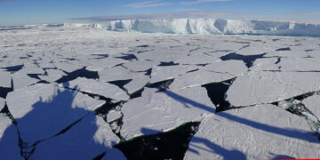 pack ice in front of an ice shelf at Gromit's Creek, Antarctica