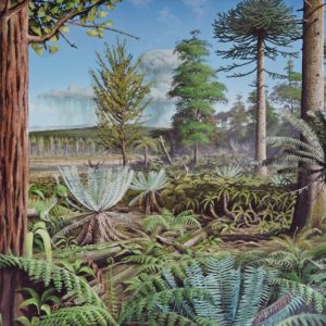 A group of palm trees next to a tree.