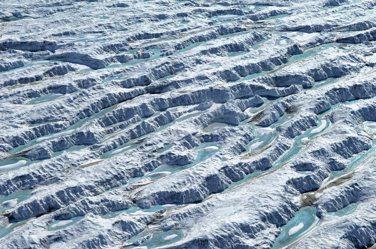 A close up of a snow covered slope.