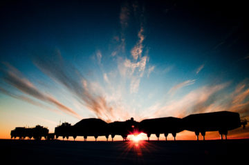 A group of clouds in the dark.