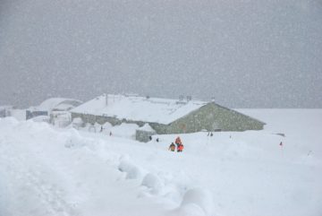 A group of people riding skis across snow covered ground.