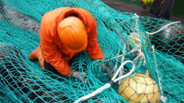 A person in a blue blanket.