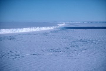 A large body of water.