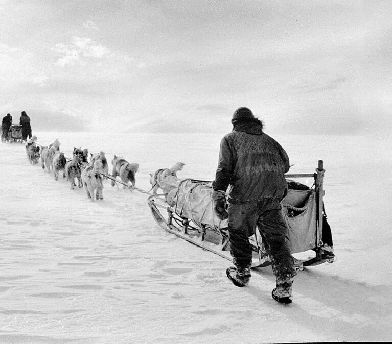 dog sledge travel from the 1940s