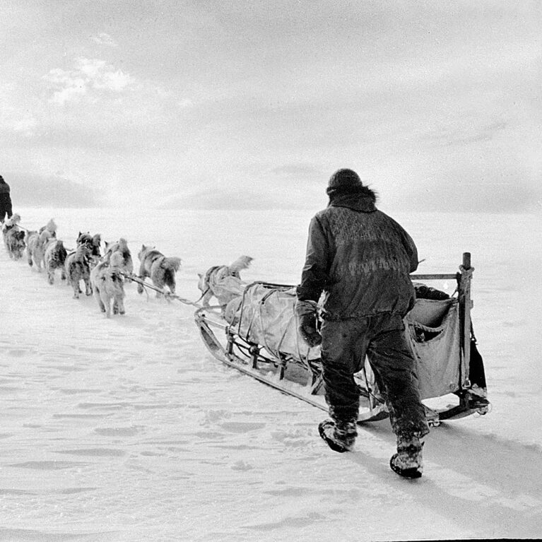 dog sledge travel from the 1940s
