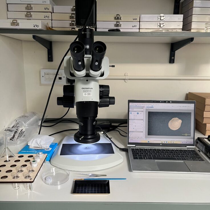 A microscope on a table