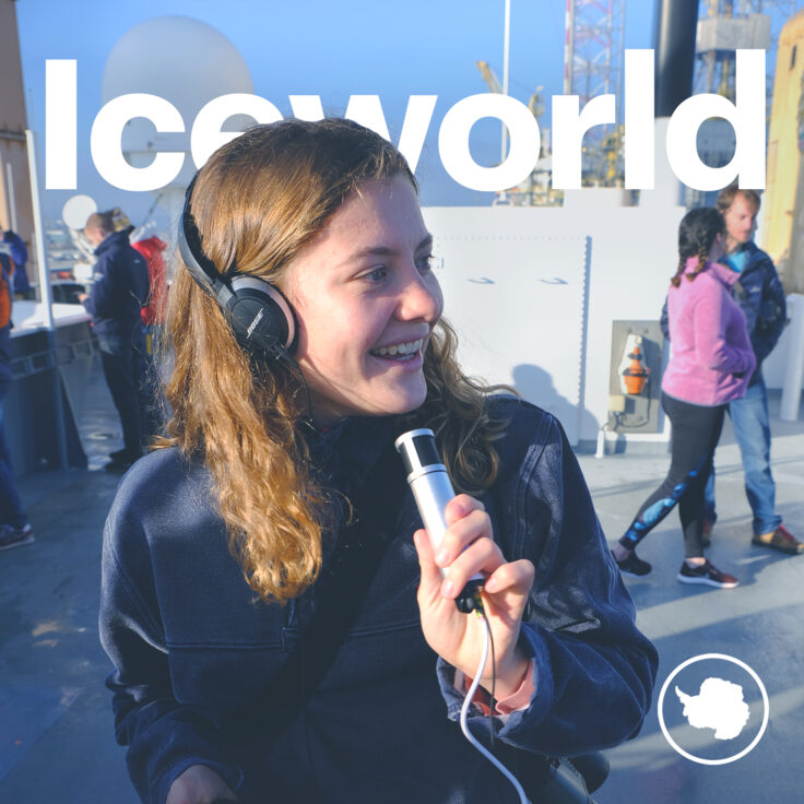 A person holding a cell phone