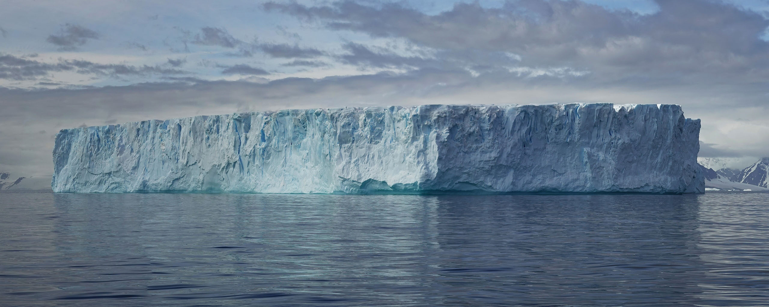 Iceberg in Ryder Bay