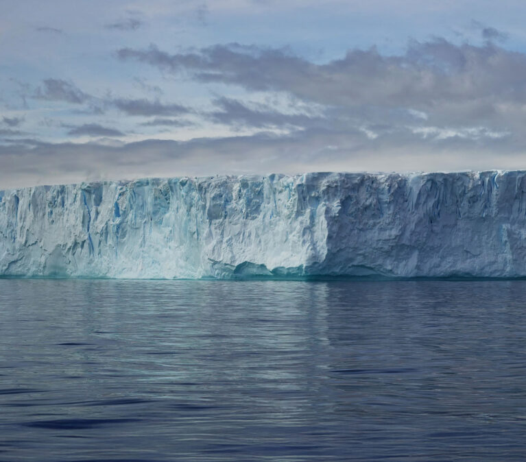 Iceberg in Ryder Bay