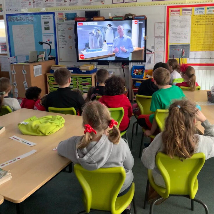 Live lesson in a primary school