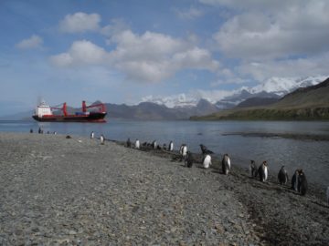 A group of people standing next to a body of water.