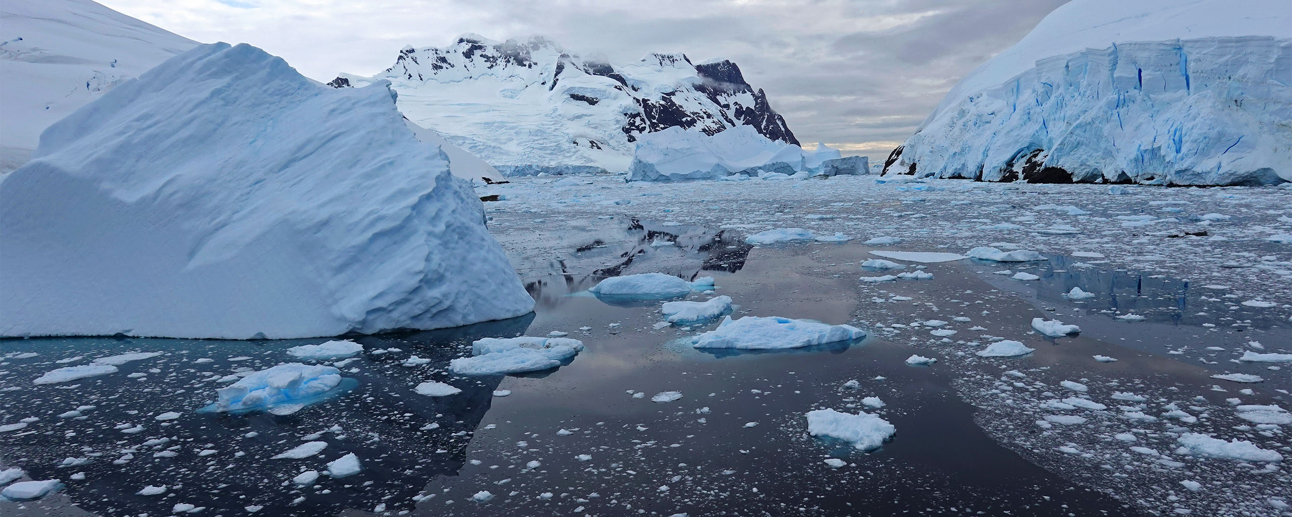 icebergs in Lemaire Channel