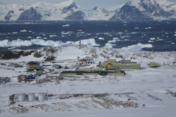 A flock of seagulls standing on a snow covered mountain.