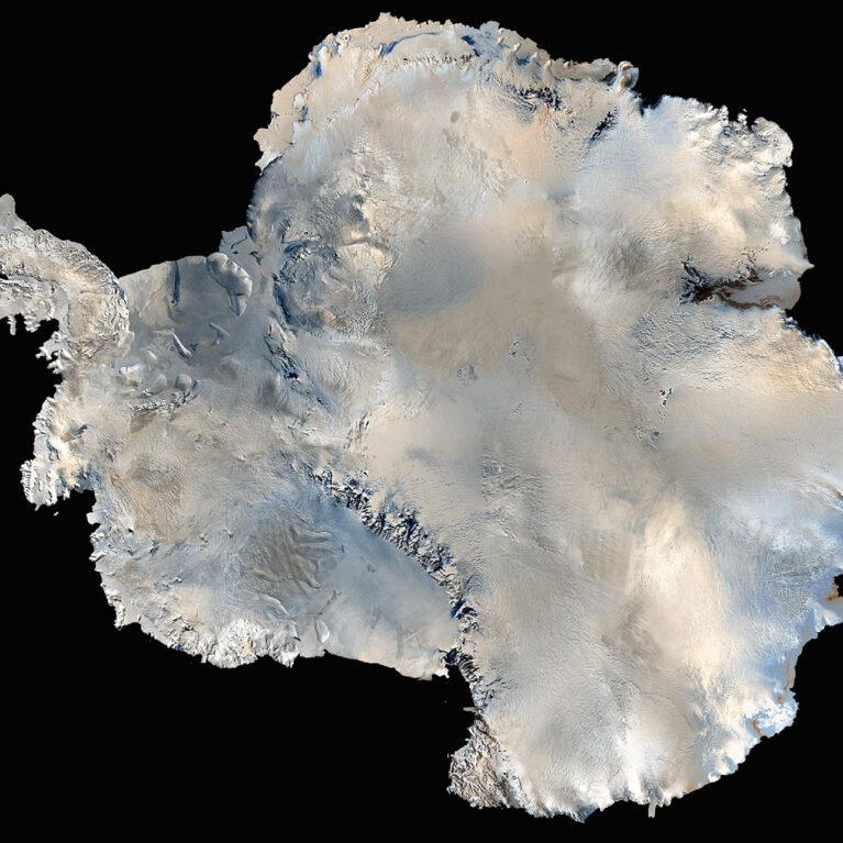 A close up of an animal