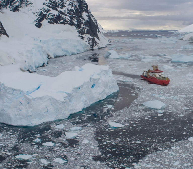 SDA in the Lemaire Channel, Antarctica