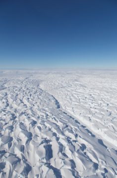 A close up of a snow covered slope.